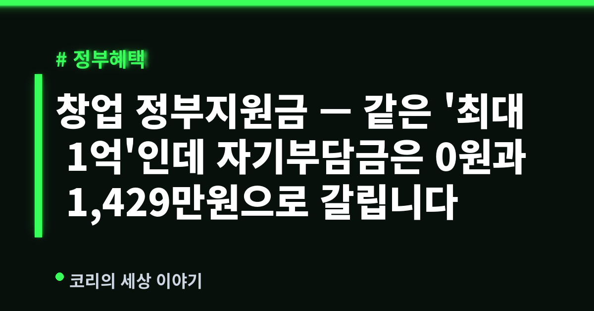 창업 정부지원금 — 같은 '최대 1억'인데 자기부담금은 0원과 1,429만원으로 갈립니다